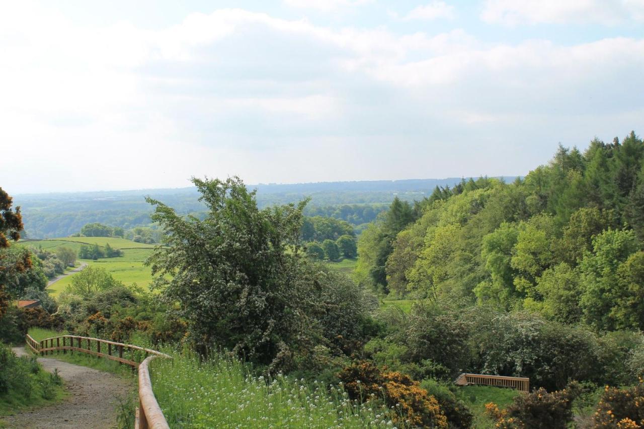Yorkshire Dales Lodge 10 Ensuite ريتشموند المظهر الخارجي الصورة