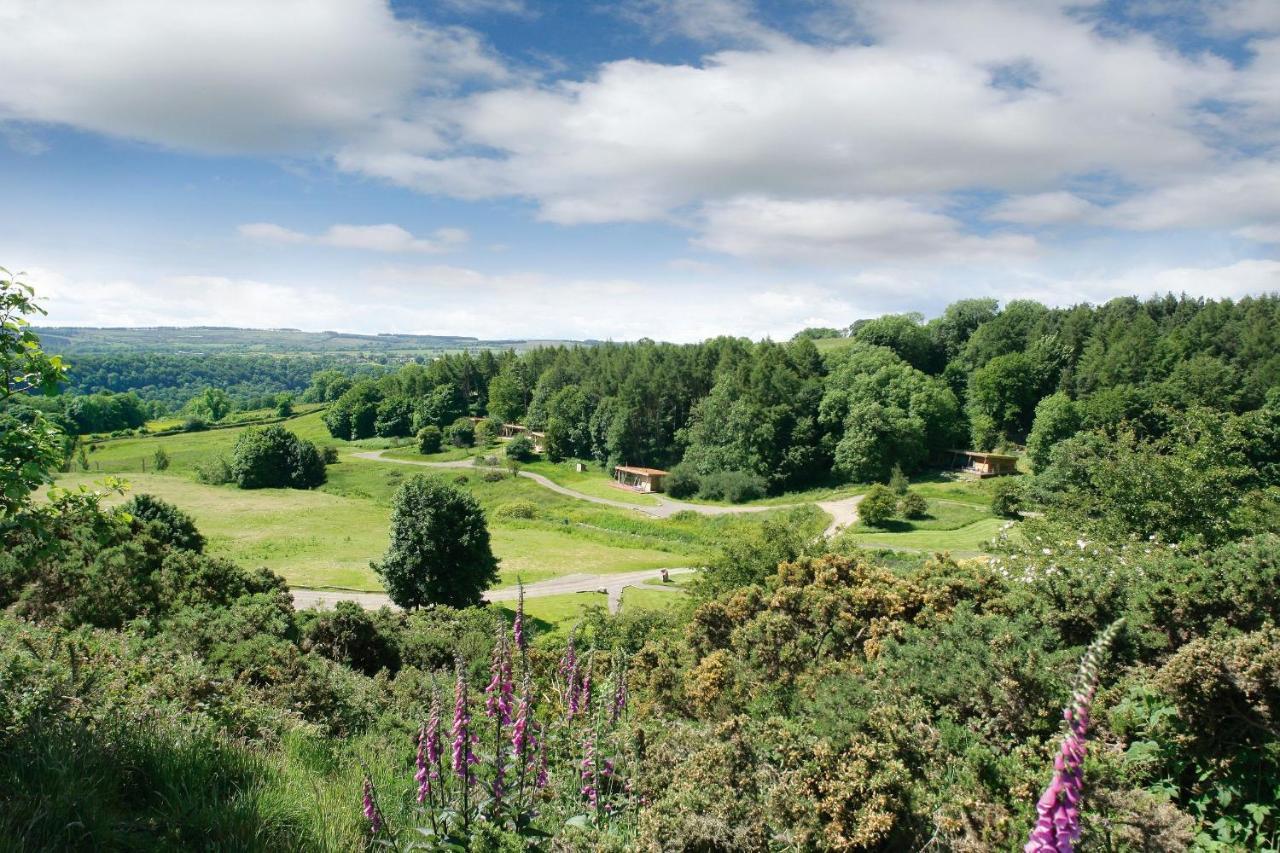 Yorkshire Dales Lodge 10 Ensuite ريتشموند المظهر الخارجي الصورة